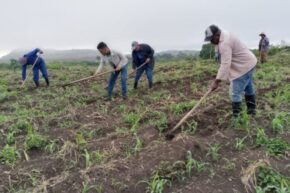 Empujón productivo por el Primero de Mayo