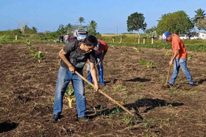 Comprometidos camagüeyanos con la celebración por el Primero de Mayo