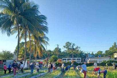 Las mismas manos villaclareñas