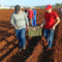 En el surco, honrando a Fidel y rumbo al Primero de Mayo