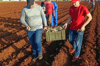 En el surco, honrando a Fidel y rumbo al Primero de Mayo