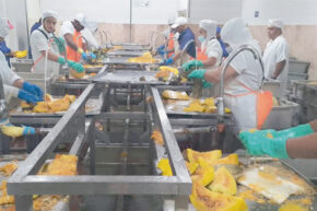 La Coloma se reinventa