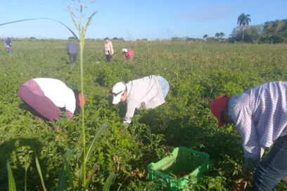 Arrancó jornada conmemorativa por el Primero de Mayo en Sancti Spíritus