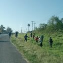 Labores de mantenimiento en matancero  corredor turístico