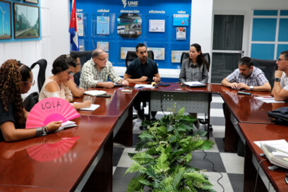Nueva tarifa única para cogeneradores: incentivo a la transición energética