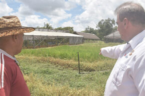 Un Héroe salta su Rincón