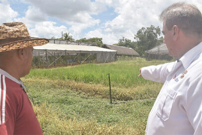 Un Héroe en su Rincón