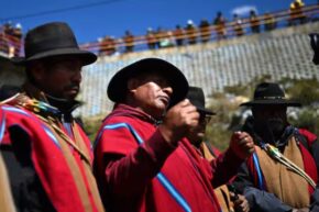Bolivia: raíces que resisten