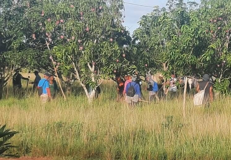 Fotos: Tomadas del perfil de Facebook de la EAVG.