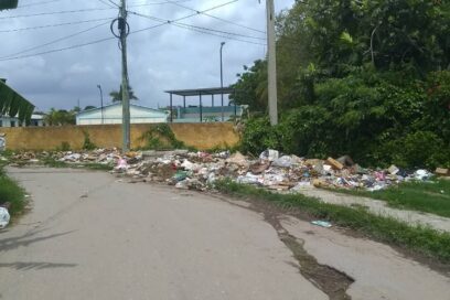 Eco de enfermedades
