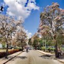 Muestra Holguín logros ambientales