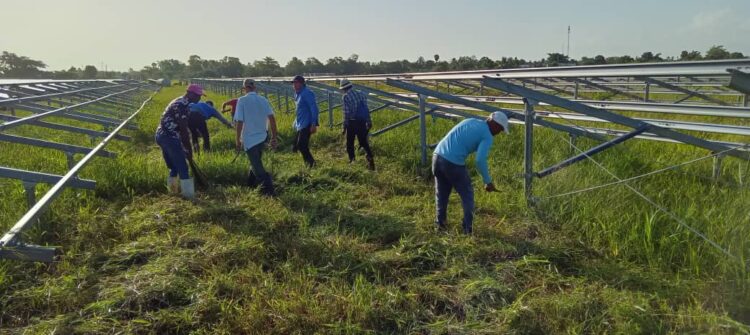 Varios trabajadores apoyan en el saneamiento del área donde montan los paneles. (Foto Cortesía de Poder Popular Candelaria)