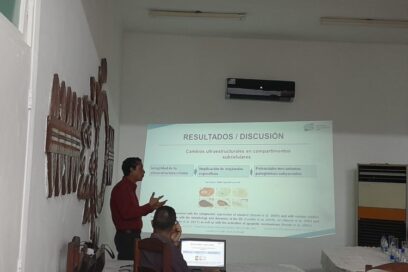 Investigaciones holguineras aportan soluciones de alto valor para la salud pública