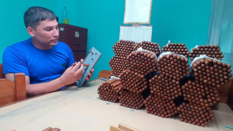 Marcelo, un ingeniero Forestal con voz de tabacalero. (Foto de Dorelys Canivell Canal)