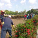 Manzanillo: los trabajadores como protagonistas de las transformaciones.