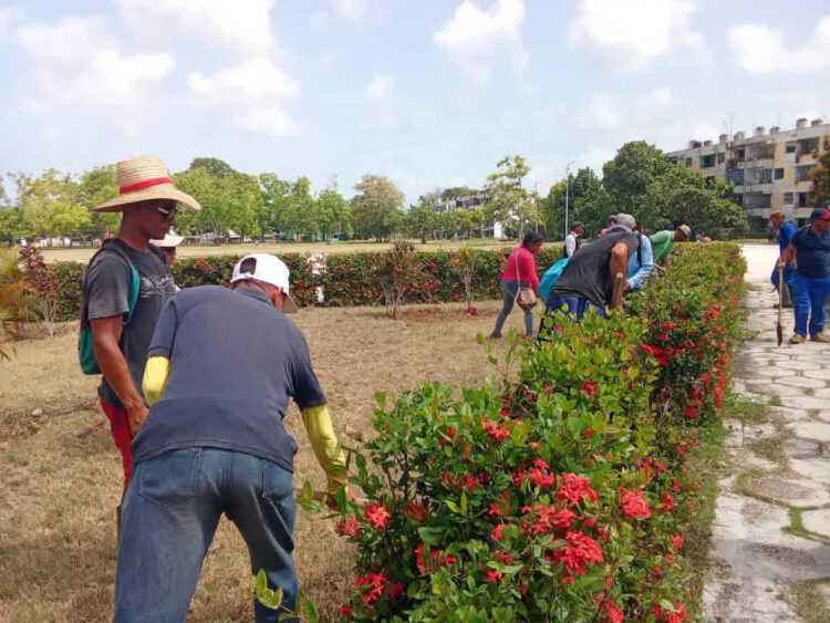 Los trabajadores manzanilleros se movilizan hacia labores productivas y de higienización. (Fotos: Tomada del perfil de Facebook de Yudelkis Ortiz Barceló)
