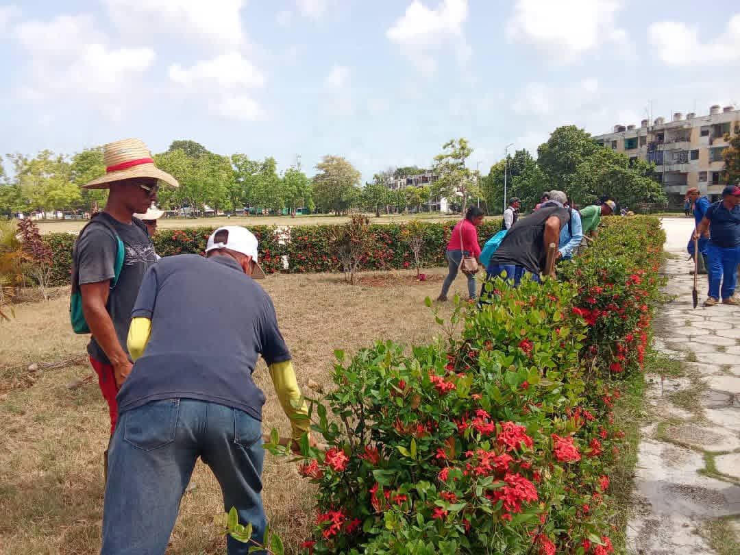 Los trabajadores manzanilleros se movilizan hacia labores productivas y de higienización. (Fotos: Tomada del perfil de Facebook de Yudelkis Ortiz Barceló)