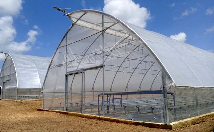 Túneles San Juan: La instalación de nuevos túneles repercutirá favorablemente sobre la producción de posturas y alimentos.