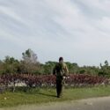 Sostenidas labores de mantenimiento en corredor turístico