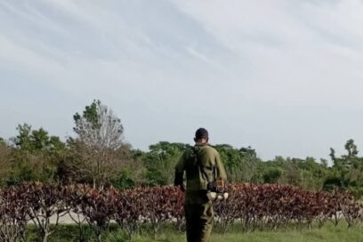 Sostenidas labores de mantenimiento en corredor turístico