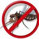 Alerta contra la fiebre quebrantahuesos