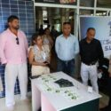 Alianzas para el desarrollo
