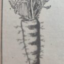 Fuente de vitaminas y minerales