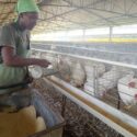 Asociación económica entre manos en AviArte