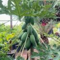 Innovar para producir más
