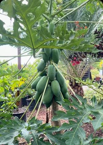 Innovar para producir más