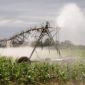 La recuperación agrícola de los campos cubanos