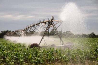 La recuperación agrícola de los campos cubanos