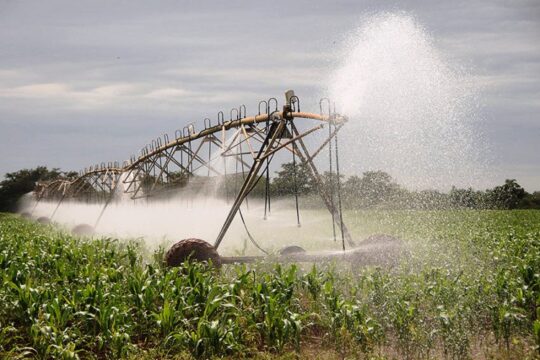 La recuperación agrícola de los campos cubanos